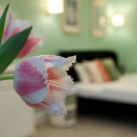 Ozone Silver&gold Apartamento Budapest